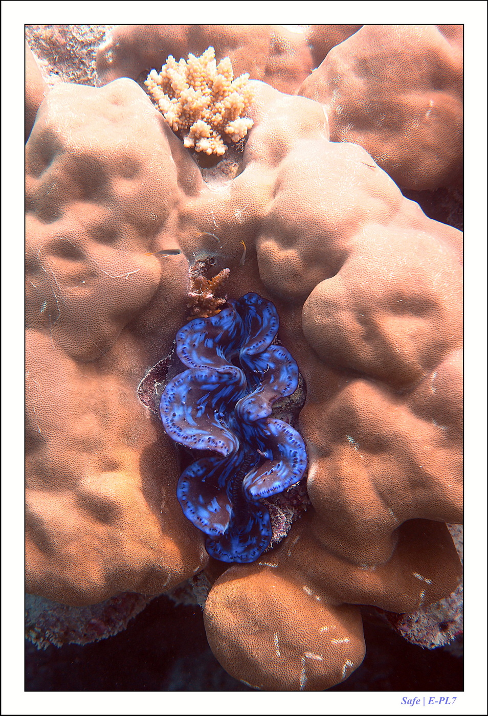 2022 - 07 - snorkeling Maldives - 020